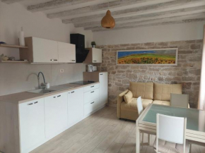 Apartment Lino - city center